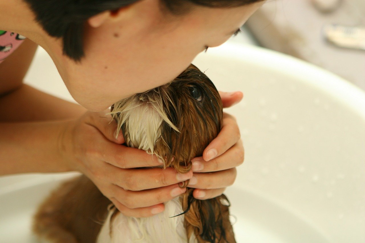 bañar al perro cc la libertad