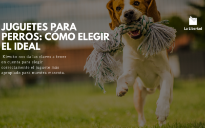 Juguetes para perros: cómo elegir el ideal