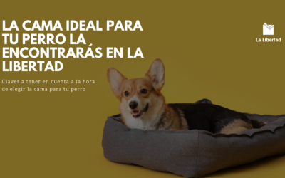 La cama ideal para tu perro la encontrarás en La Libertad